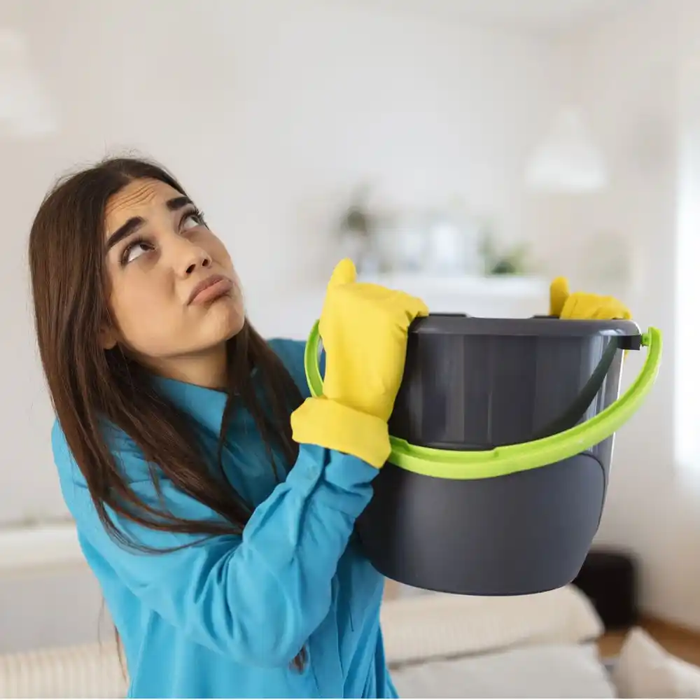water damage restoration service Suitland